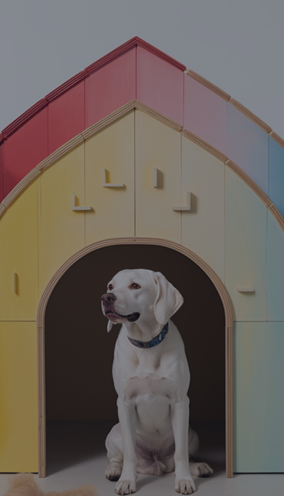 Pet adoption